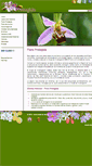 Mobile Screenshot of floraprotegida.com